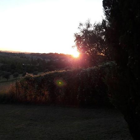 I Fagiani B&B Rimini Dış mekan fotoğraf