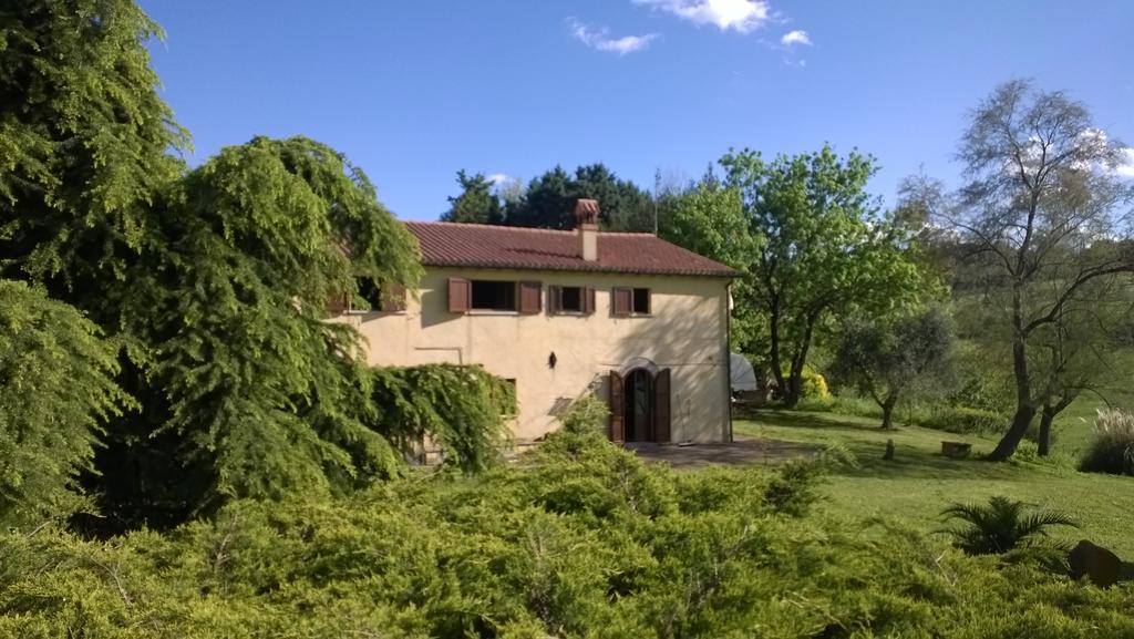 I Fagiani B&B Rimini Dış mekan fotoğraf