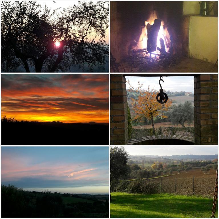 I Fagiani B&B Rimini Dış mekan fotoğraf